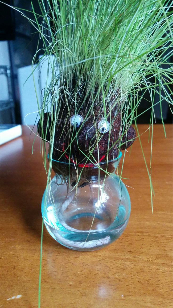 頭 から 草 が 生える 人形